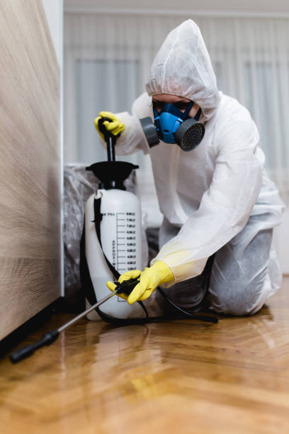 Best Fumigation Services  in USA